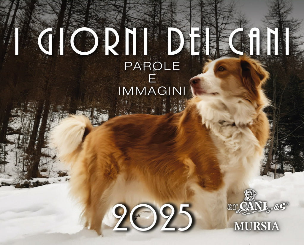 I giorni dei cani - Calendario da tavolo 2025