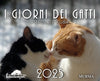 I giorni dei gatti - Calendario da tavolo 2025